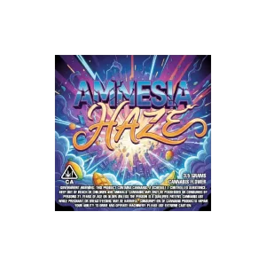 Amnesia Haze2