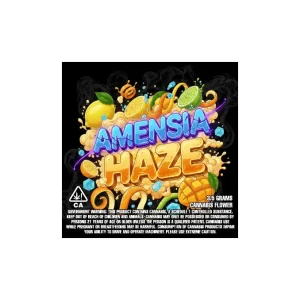Amnesia Haze2