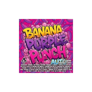 Banana Purple Punch Auto