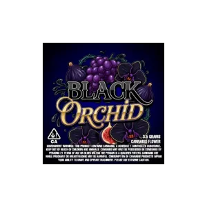 Black Orchid
