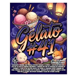 Gelato 41