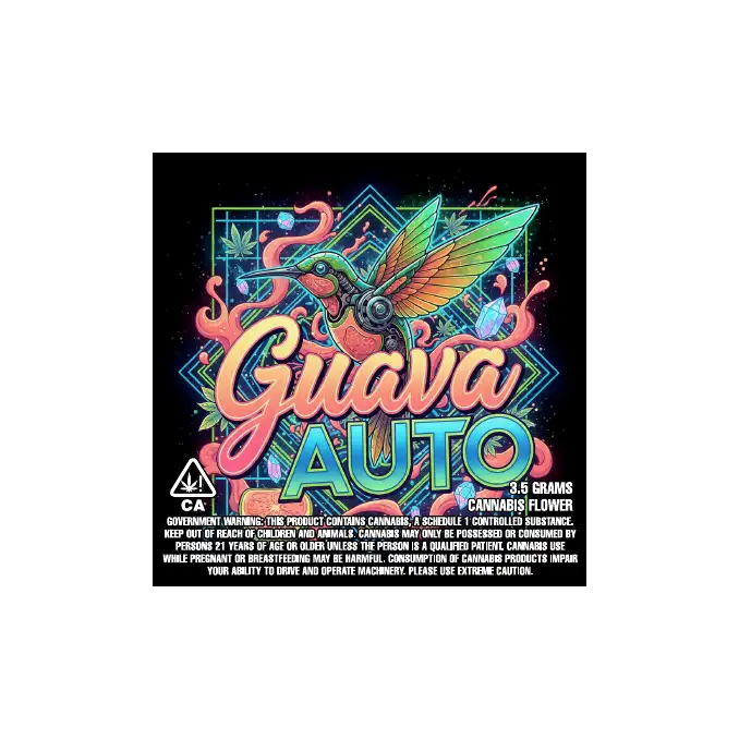 Guava Auto