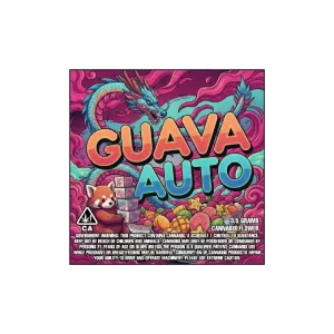 Guava Auto