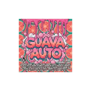 Guava Auto