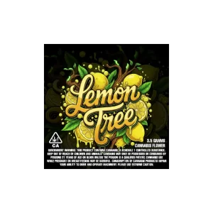 Lemon Tree