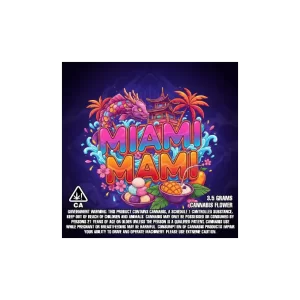 Miami Mami