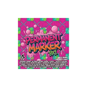 Permanent Marker Bx1