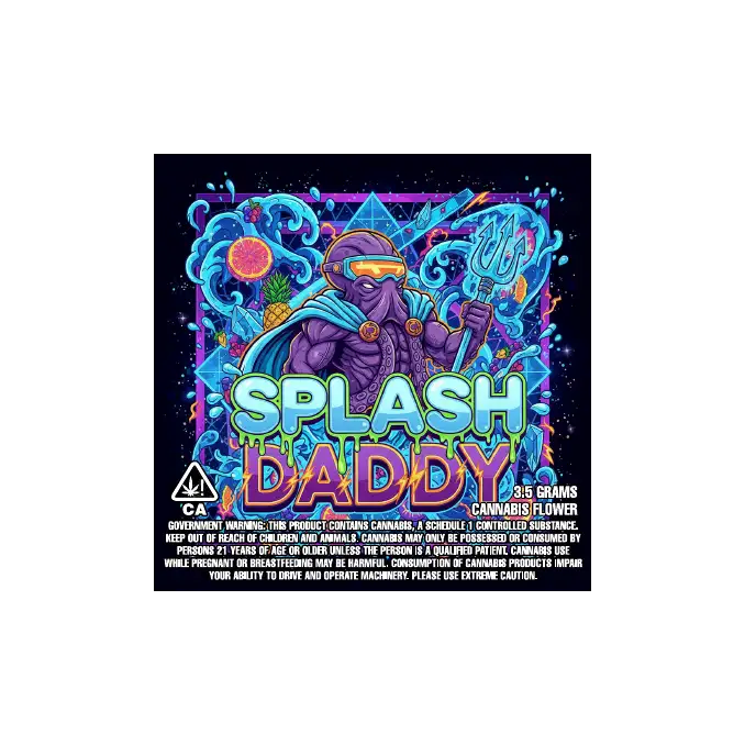Splash Daddy